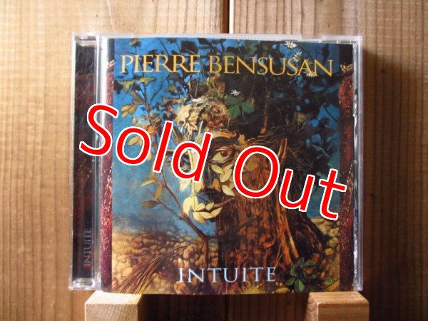 画像1: Pierre Bensusan / Intuite (1)