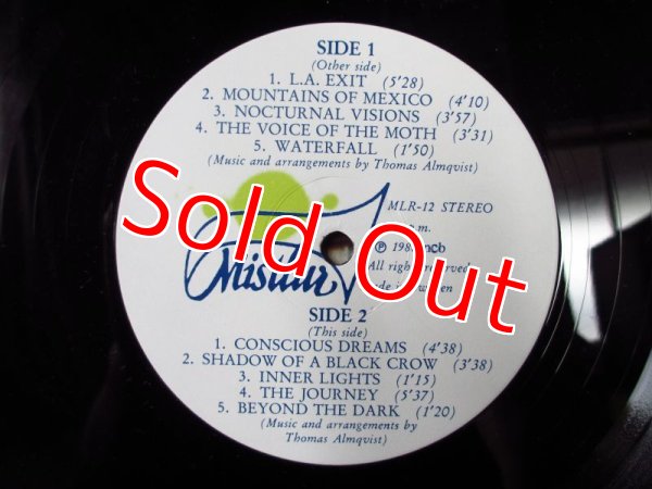 画像3: Thomas Almqvist / The Journey (3)