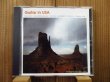 画像2: Philippe Azoulay / Guitar in the USA (2)