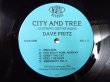 画像3: Dave Fritz / City And Tree (3)
