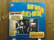 画像1: Stefan Grossman / How To Play Blues Guitar Vol. 2 (1)