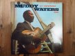 画像1: Muddy Waters / At Newport 1960 (1)