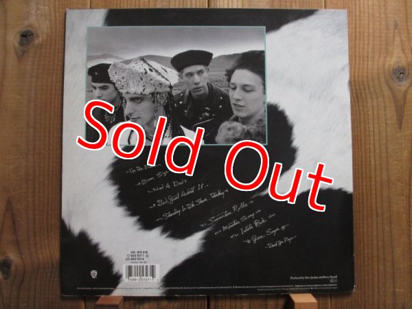 画像2: Jane's Addiction / Nothing's Shocking (2)