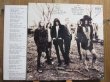 画像2: The Black Crowes / The Southern Harmony And Musical Companion (2)