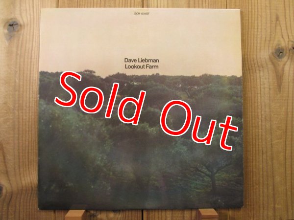 画像1: Dave Liebman (John Abercrombie)/ Lookout Farm (1)