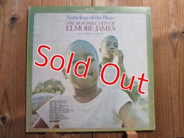画像1: Elmore James / The Resurrection Of Elmore James (1)