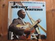 画像1: Muddy Waters / At Newport 1960 (1)