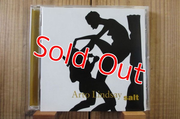 画像1: Arto Lindsay / Salt (1)