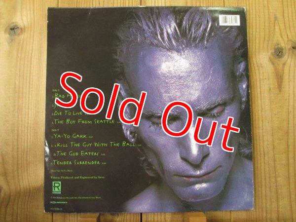 画像2: Steve Vai / Alien Love Secrets (2)