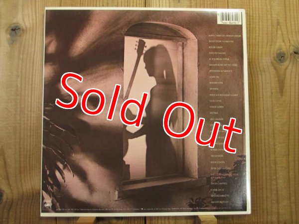 画像3: Al Di Meola / Splendido Hotel (3)