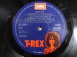 画像3: T. Rex / Great Hits (3)