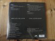 画像2: 歴史に残る"隠れ"ギター名盤！バーニーグランドマン！■Brian Blade Fellowship / Perceptual (2)