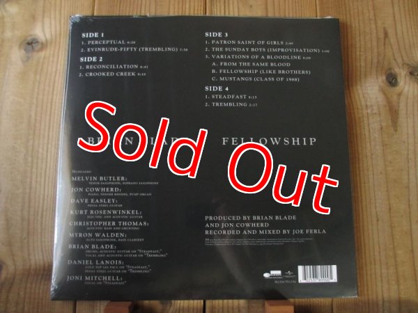画像2: 歴史に残る"隠れ"ギター名盤！バーニーグランドマン！■Brian Blade Fellowship / Perceptual (2)