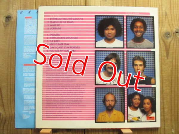 画像2: Daniel Sahuleka / Sunbeam (2)