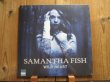 画像1: 女性ブルースギタリスト、サマンサフィッシュの希少アナログ入荷！■Wild Heart / Samantha Fish (1)