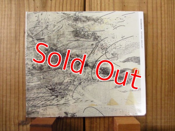 画像1: Raphael Malfliet / Noumenon (1)