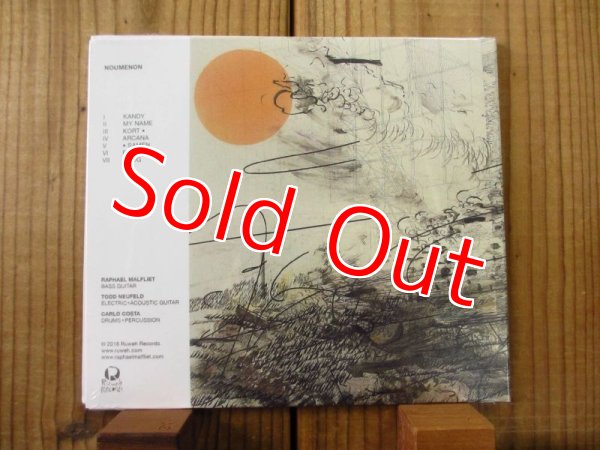 画像2: Raphael Malfliet / Noumenon (2)