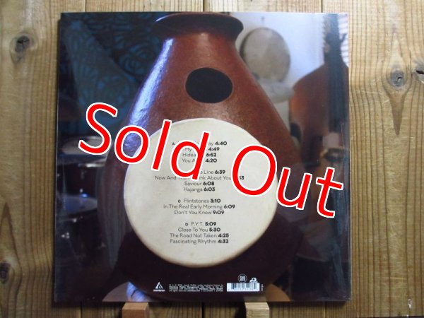 画像2: 各方面で大絶賛！若き超天才のデビュー作アナログ盤！■Jacob Collier / In My Room(2LP) (2)