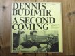 画像1: Dennis Budimir / A Second Coming (1)