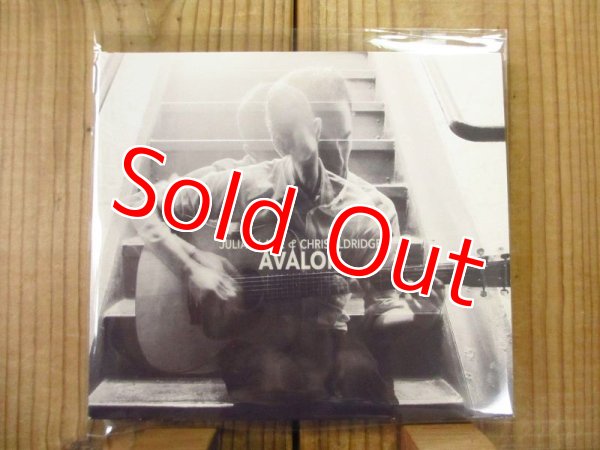 画像1: Julian Lage & Chris Eldridge / Avalon (1)