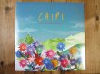 画像1: カートローゼンウィンケルの新作アナログ盤が入荷！■Kurt Rosenwinkel / Caipi (1)