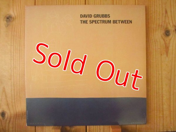 画像1: David Grubbs / The Spectrum Between (1)