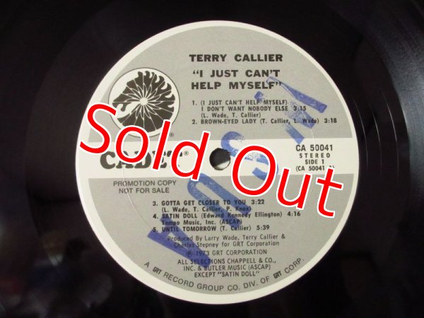 画像3: Terry Callier / I Just Can't Help Myself (3)