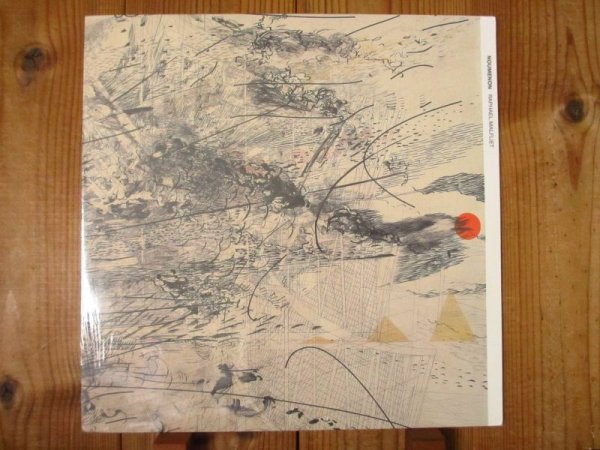 画像1: Raphael Malfliet / Noumenon (1)