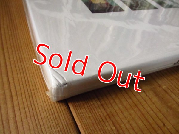 画像3: ヤンデクのRSD限定500枚プレスNo入り3枚組アナログが入荷！■Jandek / Vinyl Box Set (3LP) (3)