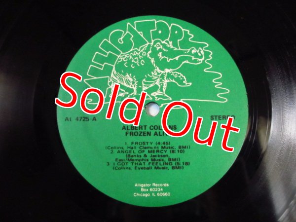 画像3: Albert Collins / Frozen Alive! (3)