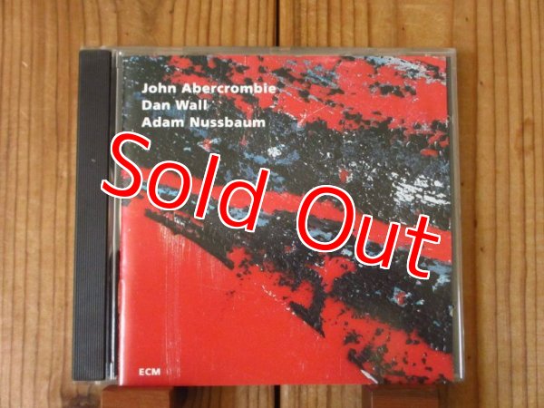 画像1: John Abercrombie, Dan Wall, Adam Nussbaum / While We're Young (1)