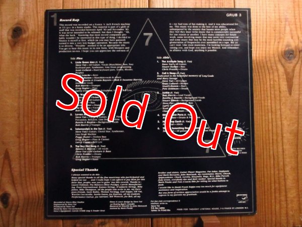 画像2: Steve Vai / Flex-Able (2)