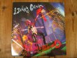 画像1: Living Colour / Love Rears Its Ugly Head (1)