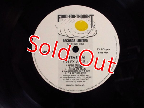 画像3: Steve Vai / Flex-Able (3)