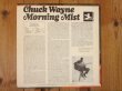 画像2: Chuck Wayne / Morning Mist (2)