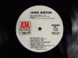 画像3: レア！白プロモ・ラベル！■James Burton / James Burton (3)