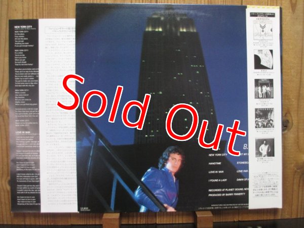 画像2: Barry Finnerty / New York City (2)