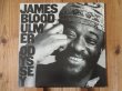 画像1: James Blood Ulmer / Odyssey (1)