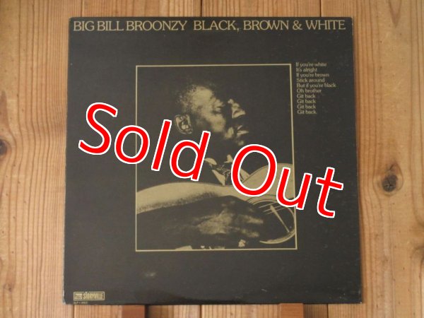 画像1: Big Bill Broonzy / Black, Brown & White (1)