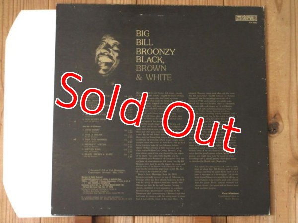 画像2: Big Bill Broonzy / Black, Brown & White (2)