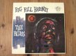 画像1: Big Bill Broonzy / The Blues (1)