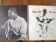 画像2: Big Bill Broonzy / Big Bill Broonzy (2)