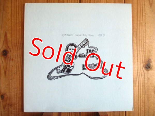 画像1: Joe Diorio / Peaceful Journey (1)