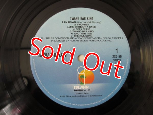 画像3: Adrian Belew / Twang Bar King (3)