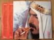 画像3: Frank Zappa / Sheik Yerbouti (3)