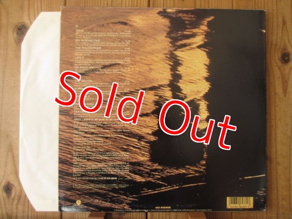 画像2: Larry Carlton / On Solid Ground (2)