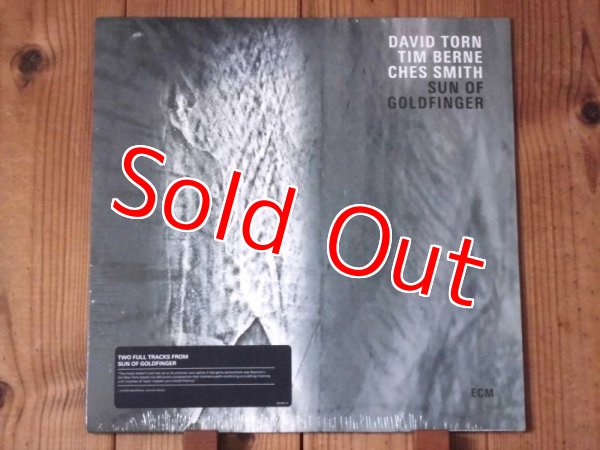 画像1: 2019年ECM産エクスペリメンタル・ジャズ傑作がUSオンリーLPで再入荷！■David Torn, Tim Berne, Ches Smith / Sun Of Goldfinger (1)