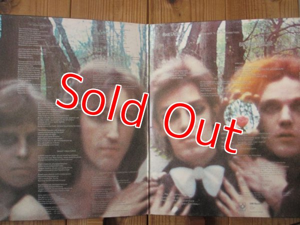 画像2: Be Bop Deluxe / Axe Victim (2)