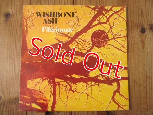 画像1: Wishbone Ash / Pilgrimage (1)
