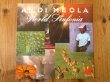 画像1: Al Di Meola / World Sinfonia (1)